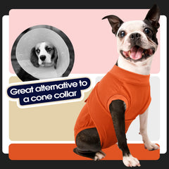 FUAMEY dog recovery suit puppy spay shirt on young dog.