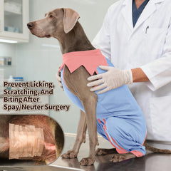 FUAMEY dog recovery suit spay-neuter wound protection on abdomen during recovery