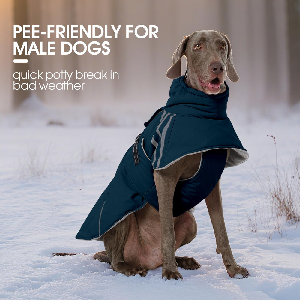 FUAMEY dog reflective back strip image promotes high visibility in low light.