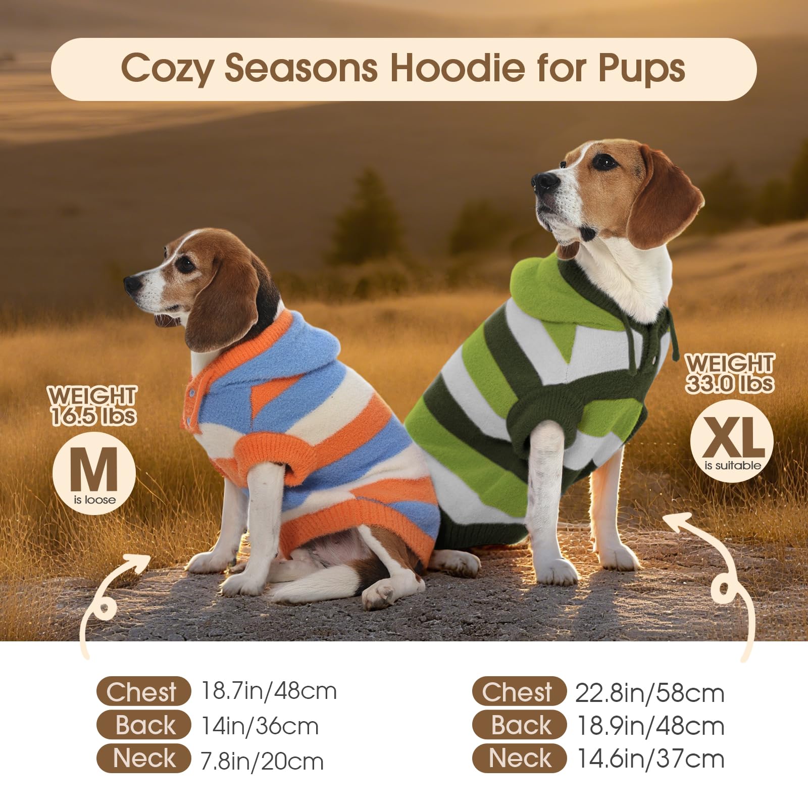FUAMEY cozy knit on dogs during photos or strolls.
