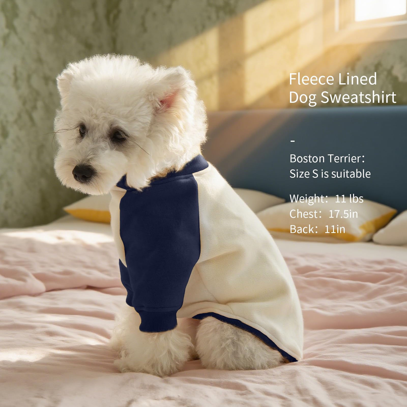 FUAMEY dog sweatshirt during walk demonstrating wind protection.