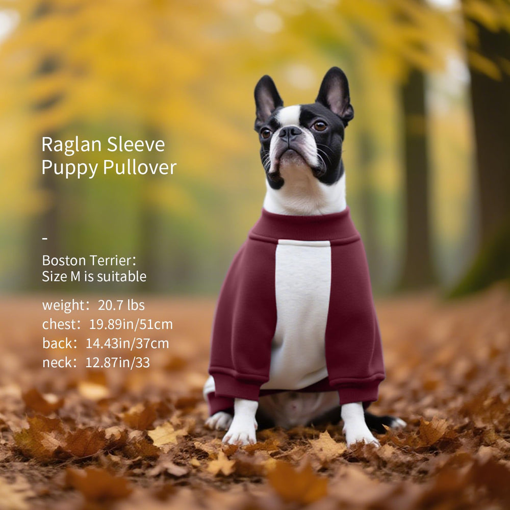 FUAMEY dog sweatshirt provides light wind protection during short outdoor strolls