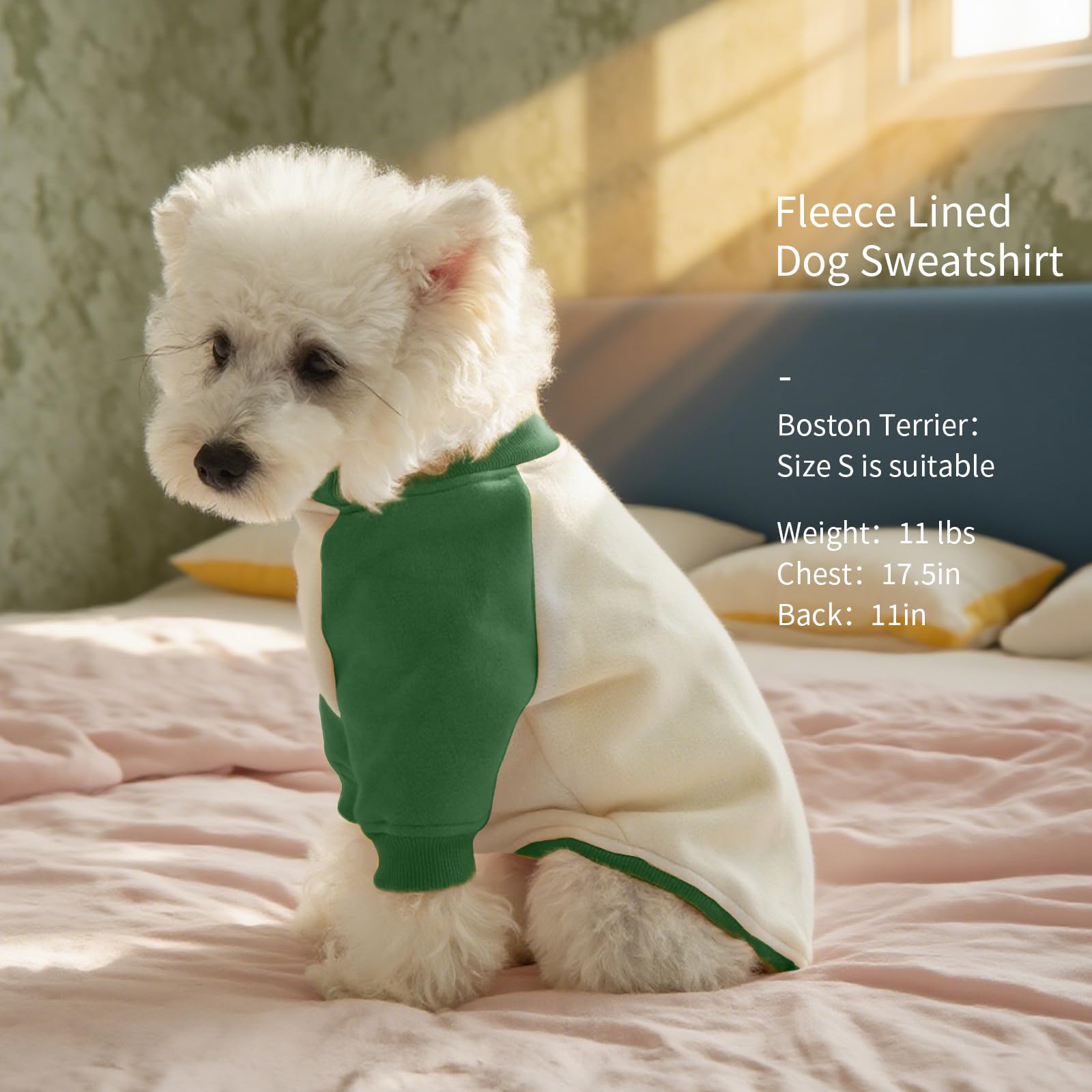 FUAMEY dog sweatshirt provides light wind protection on short walks.