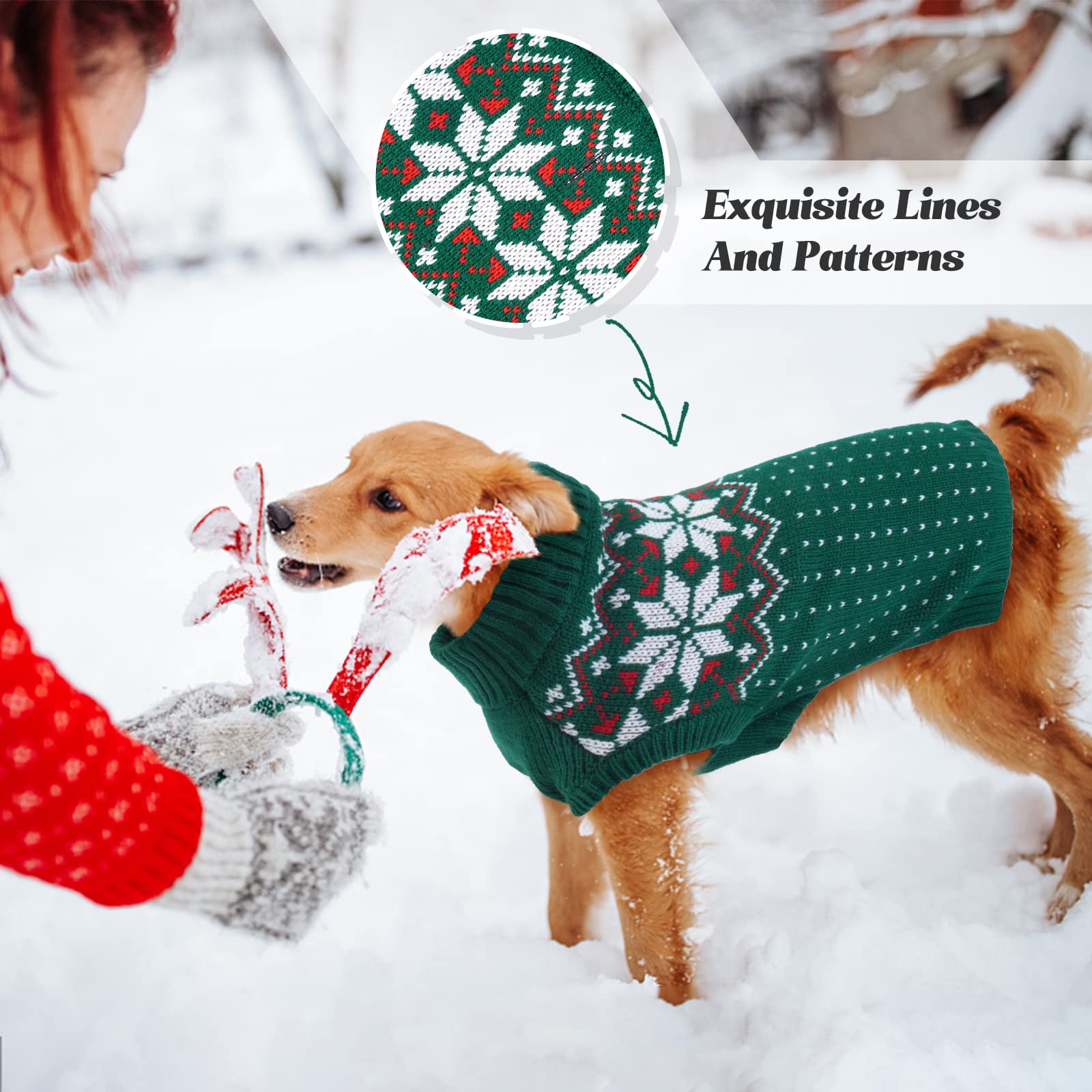 FUAMEY dog warmth daily-wear demonstrates versatile use for walks and indoor lounging
