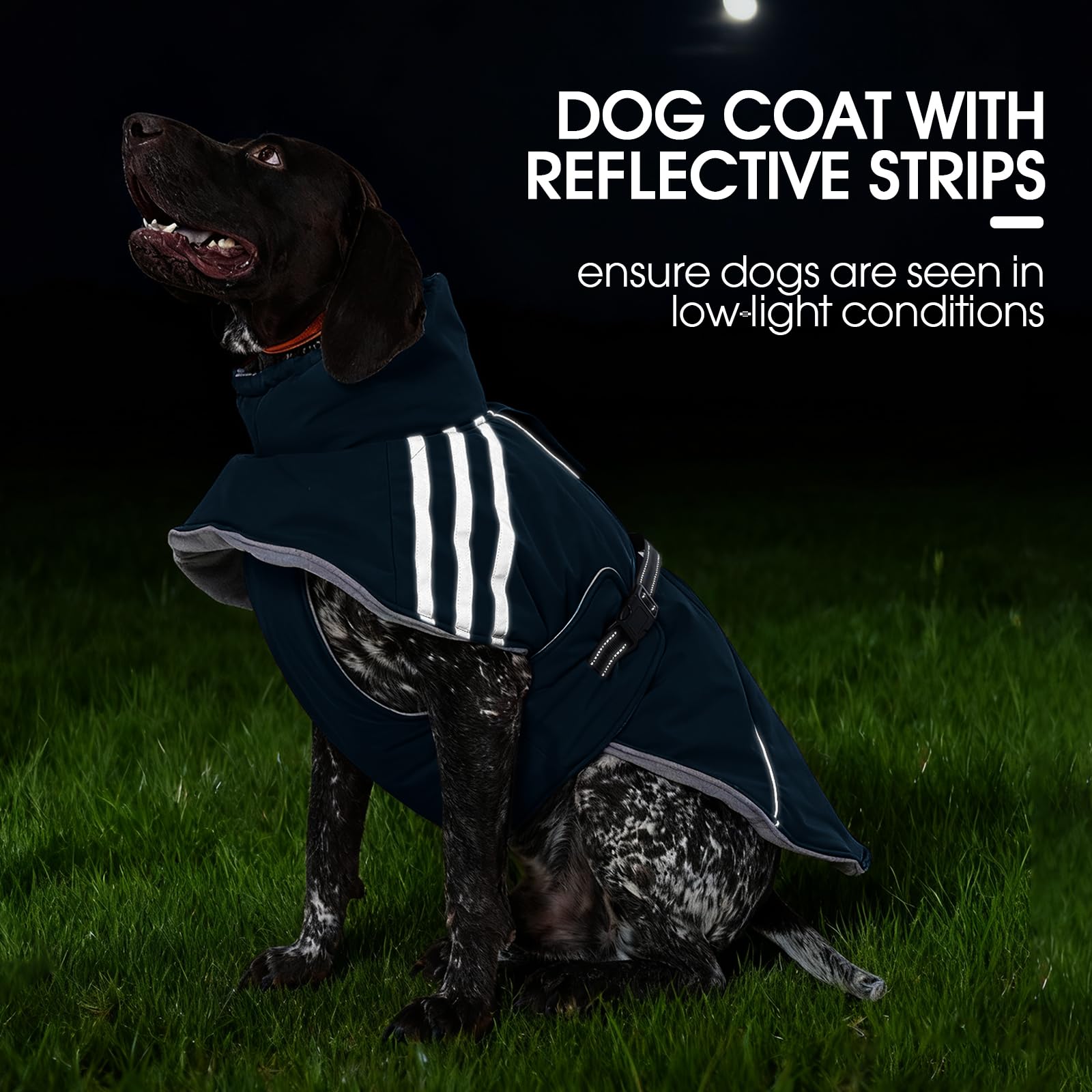 FUAMEY dog water-resistant material demonstrates rain and snow protection during outdoor adventures.