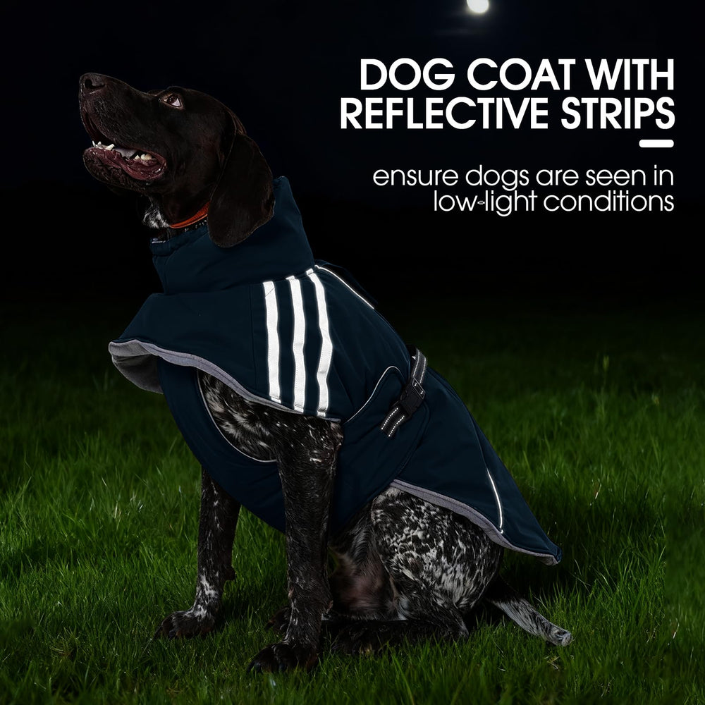 FUAMEY dog water-resistant material demonstrates rain and snow protection during outdoor adventures.
