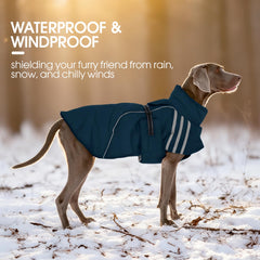 FUAMEY dog winter coat closeup buckle highlights easy on/off design.