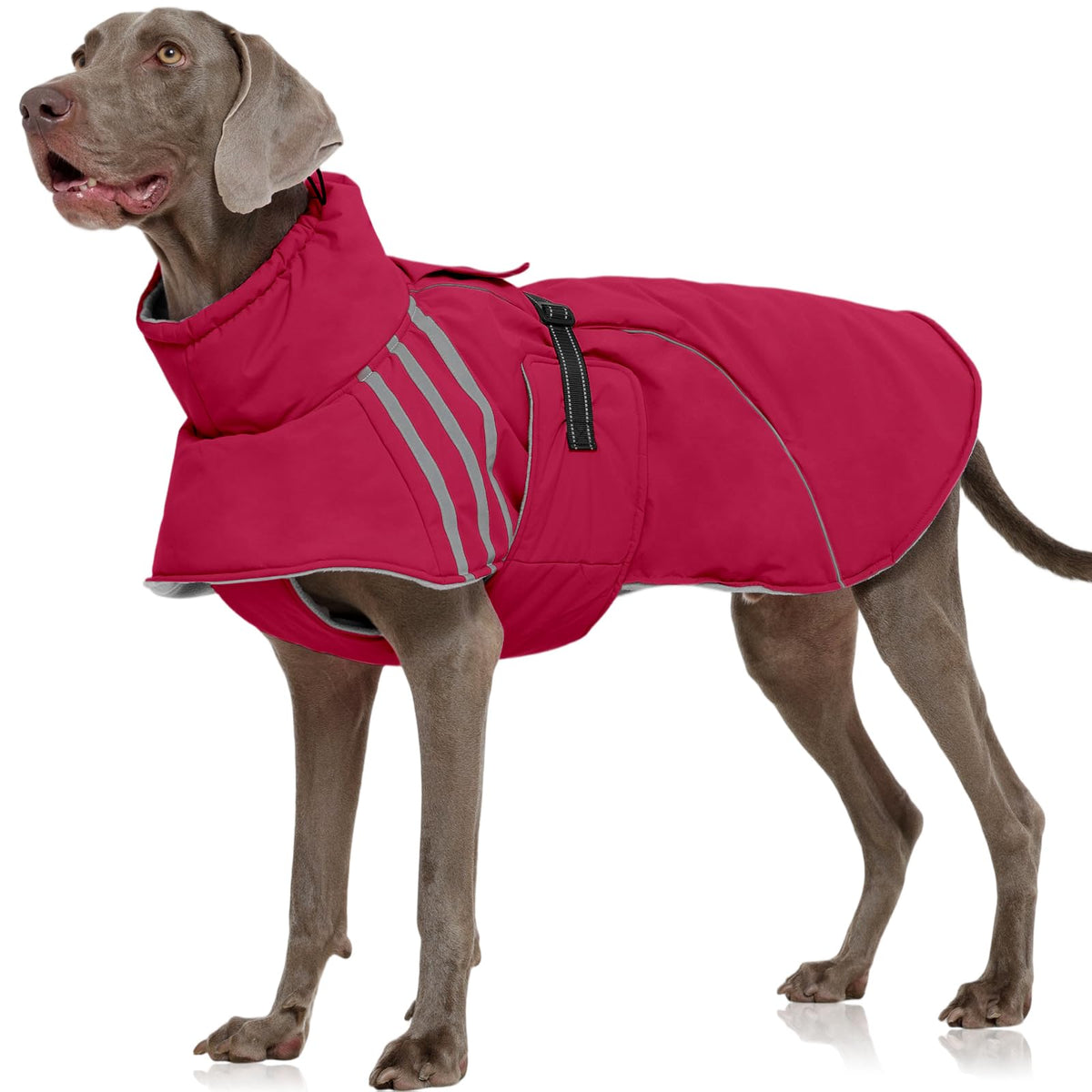 FUAMEY dog winter coat front view wine red 3XL highlighting warmth and snug fit