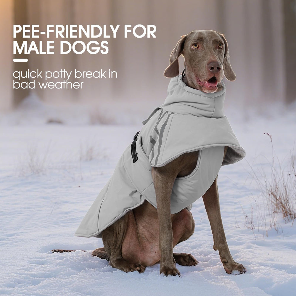 FUAMEY dog winter coat on large dog demonstrates versatile fit
