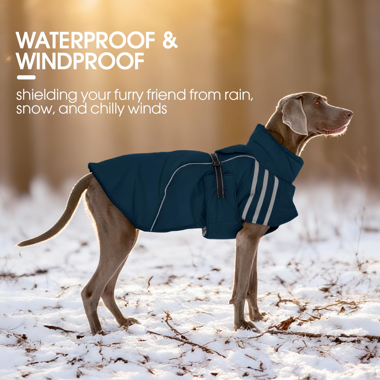 FUAMEY dog winter coat side closeup buckle highlights quick secure on-off