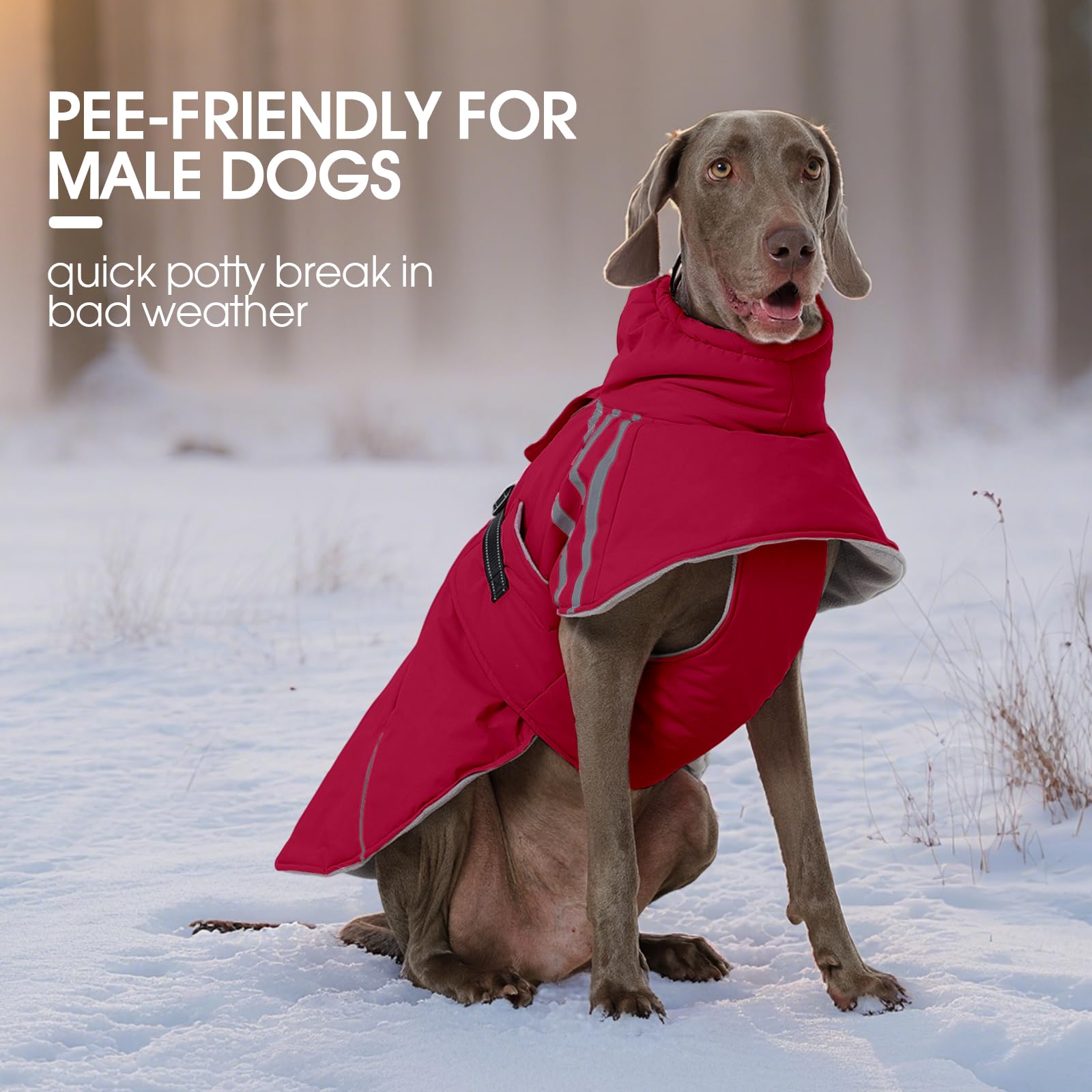 FUAMEY dog winter coat water-resistant fabric protects against rain and snow during outdoor outings