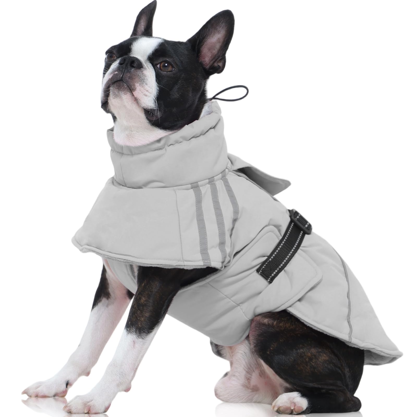 FUAMEY dog winter coat waterproof back view keeps your dog dry