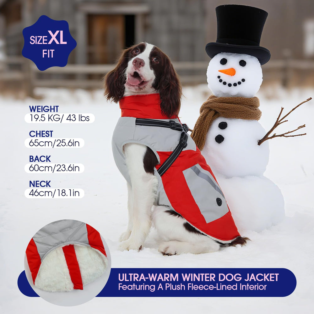 FUAMEY dog winter jacket harness loop illustrates quick leash attachment during strolls