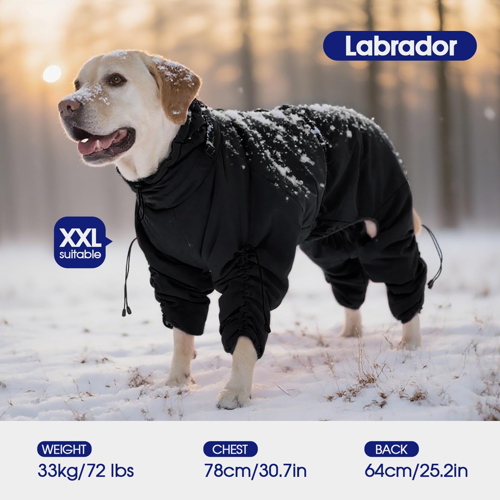 FUAMEY integrated-harness-back-clip provides secure leash attachment during outdoor trips