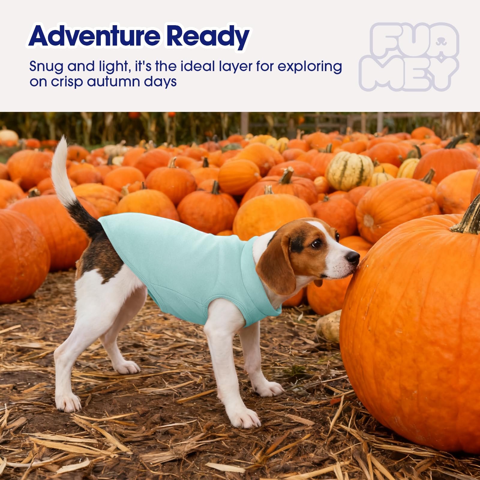 FUAMEY lightweight fleece vest supports movement while keeping dogs comfortable during autumn and spring.