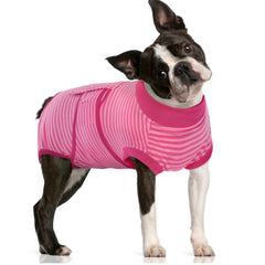FUAMEY Recovery Suit worn on a dog to protect wounds and support comfort.