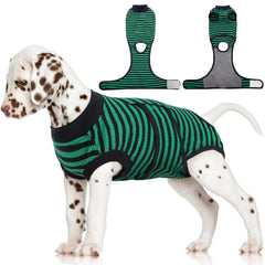 FUAMEY Recovery Suit on a dog for post-op comfort and movement