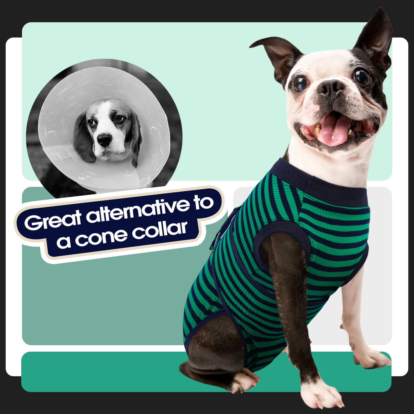 FUAMEY Recovery Suit provides gentle wound protection while dog rests