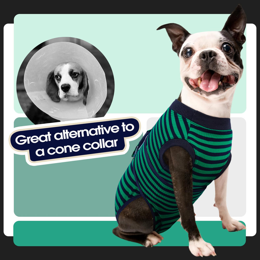 FUAMEY Recovery Suit provides gentle wound protection while dog rests