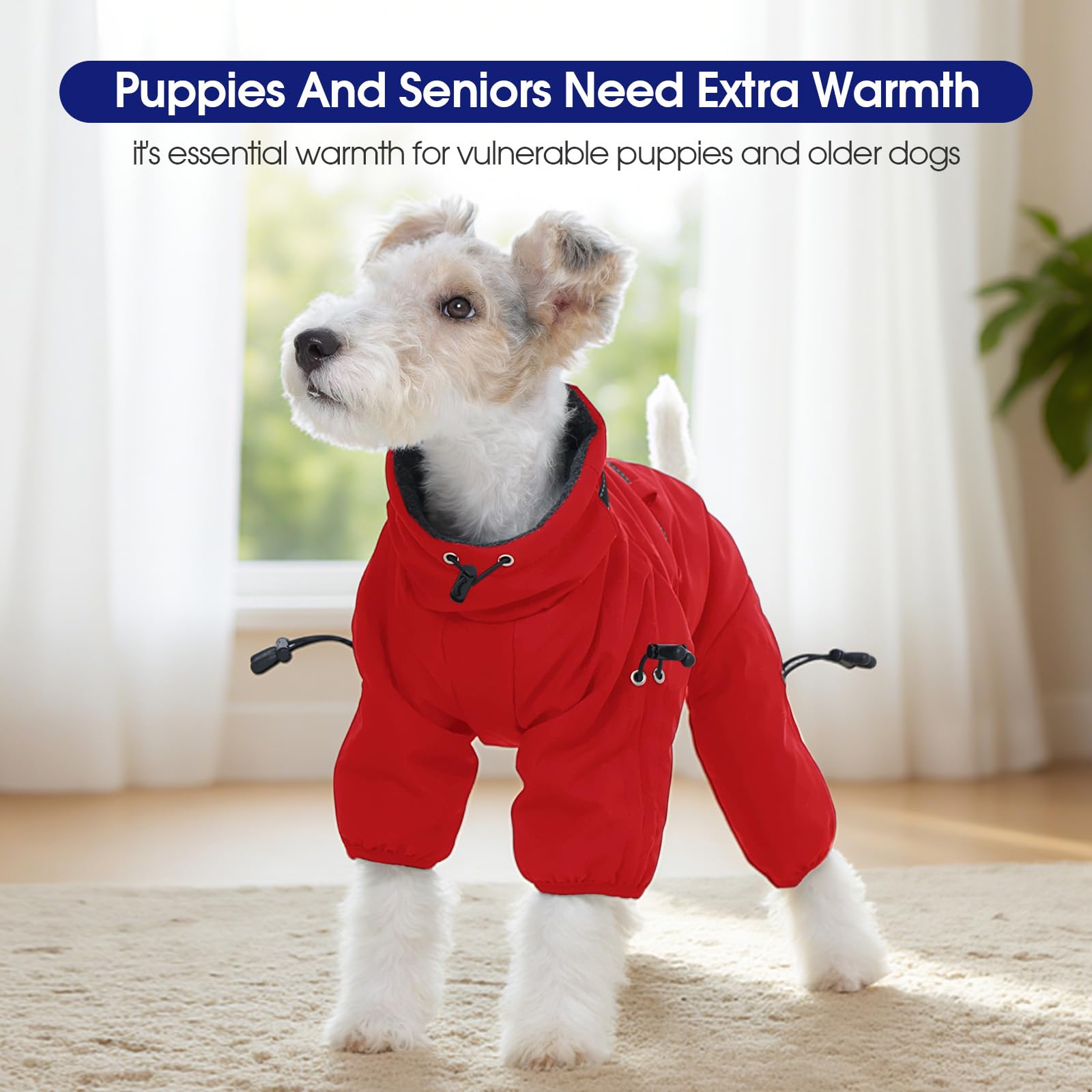 FUAMEY red XS dog coat ideal for extra small dogs in cold weather.
