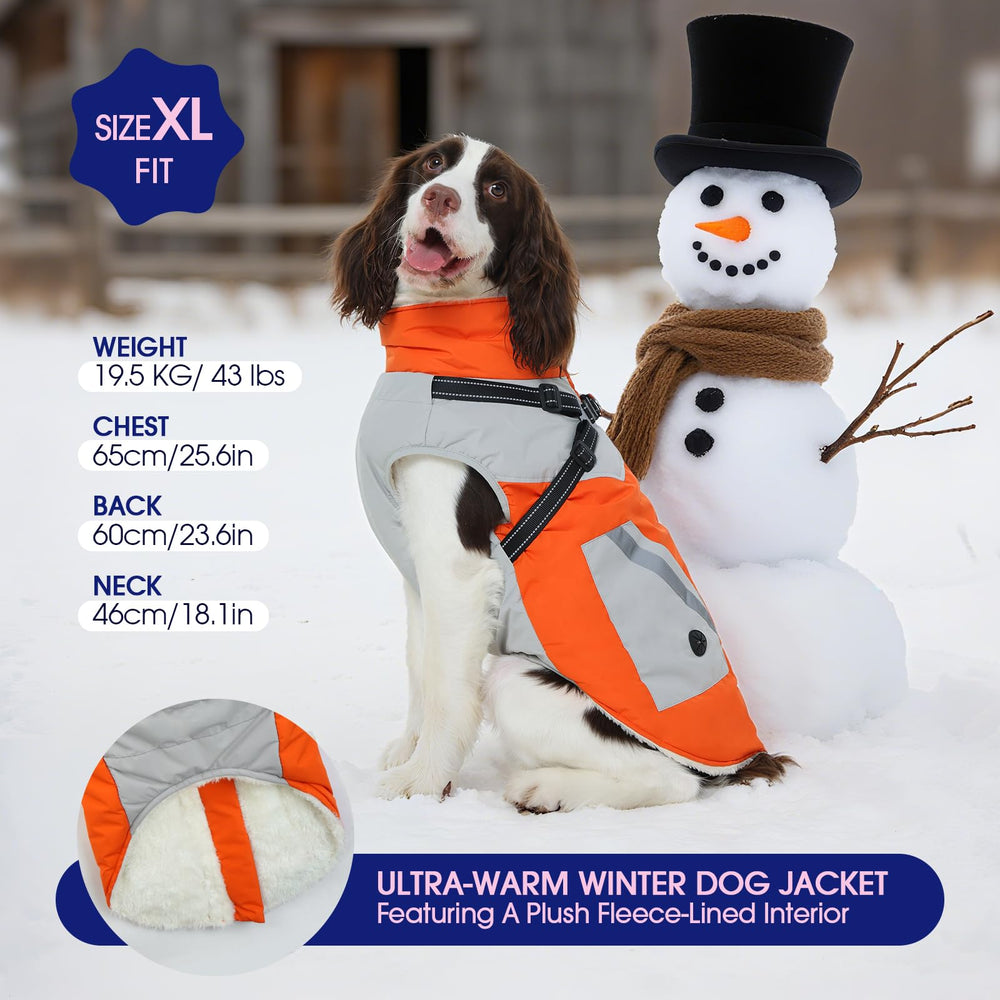 FUAMEY waterproof dog coat protects from rain and snow during outdoor adventures