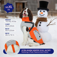 FUAMEY waterproof dog coat protects from rain and snow during outdoor adventures