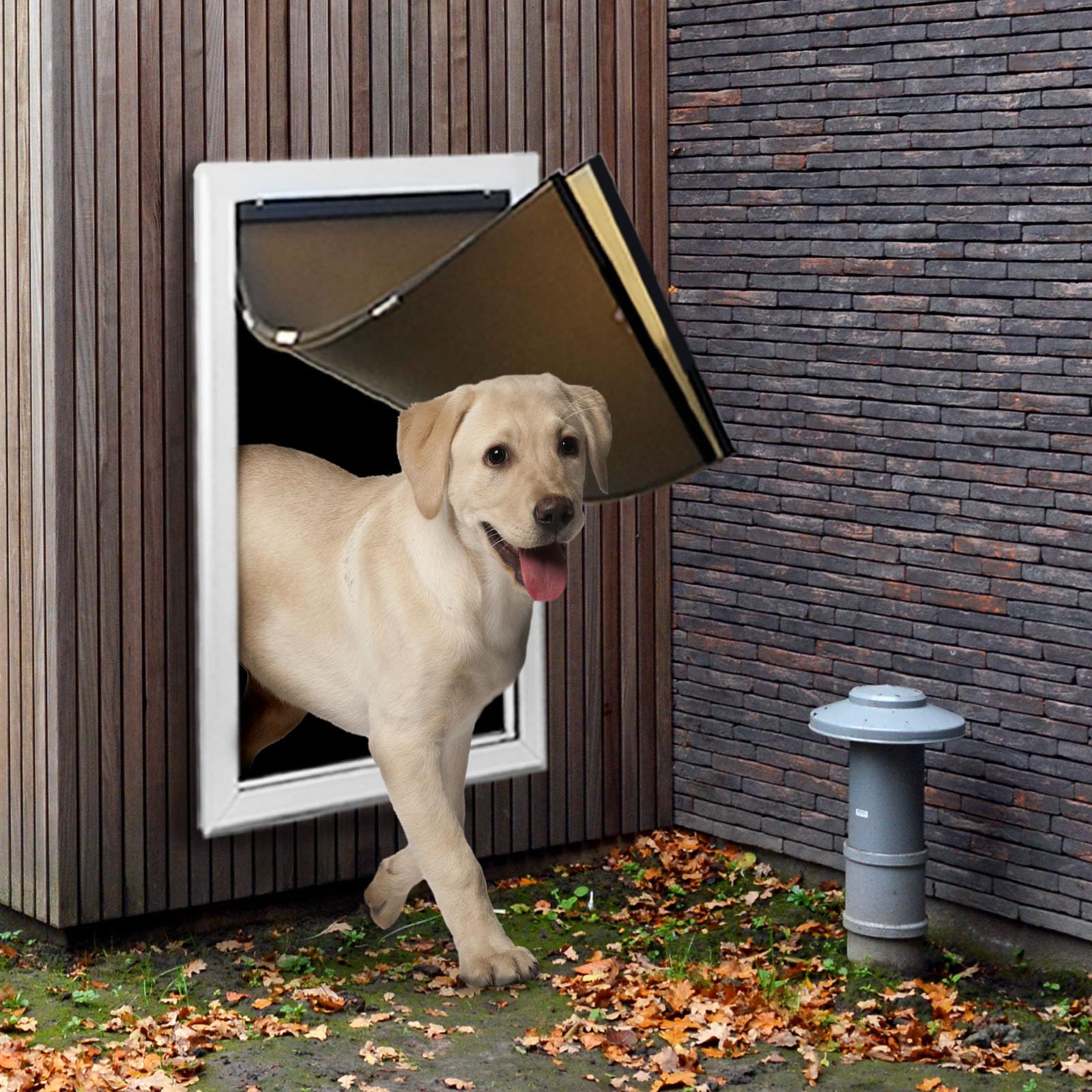 Fuelio XL dog door wall front view highlights spacious entry for giant breeds