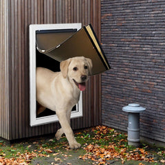Fuelio XL dog door wall front view highlights spacious entry for giant breeds