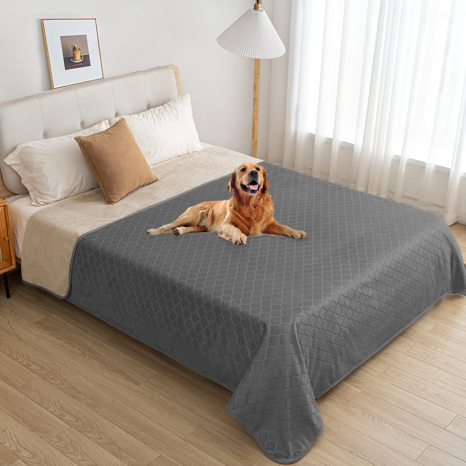 fuguitex cozy couch guard blanket on sofa provides a comfortable, pet-friendly lounging spot.