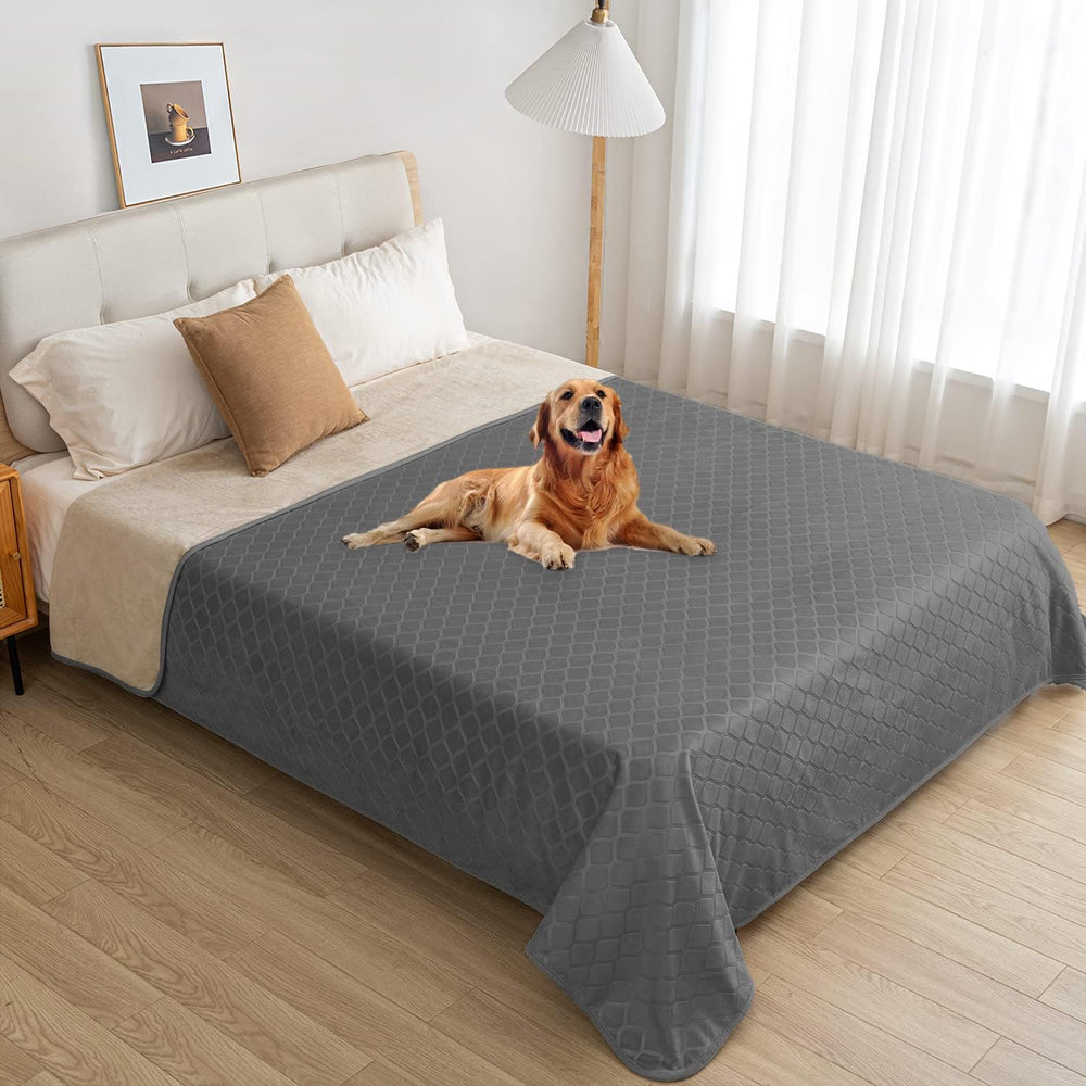 fuguitex cozy couch guard blanket on sofa provides a comfortable, pet-friendly lounging spot.