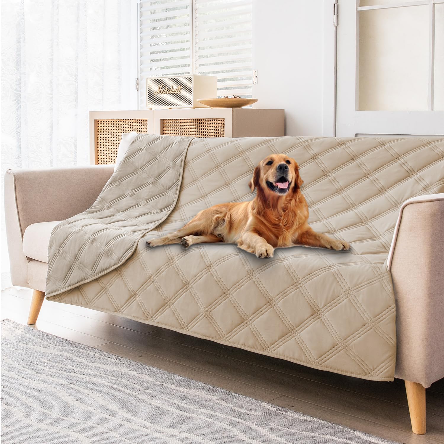 Fuguitex couch protector protecting furniture from fur, dirt, and accidents.