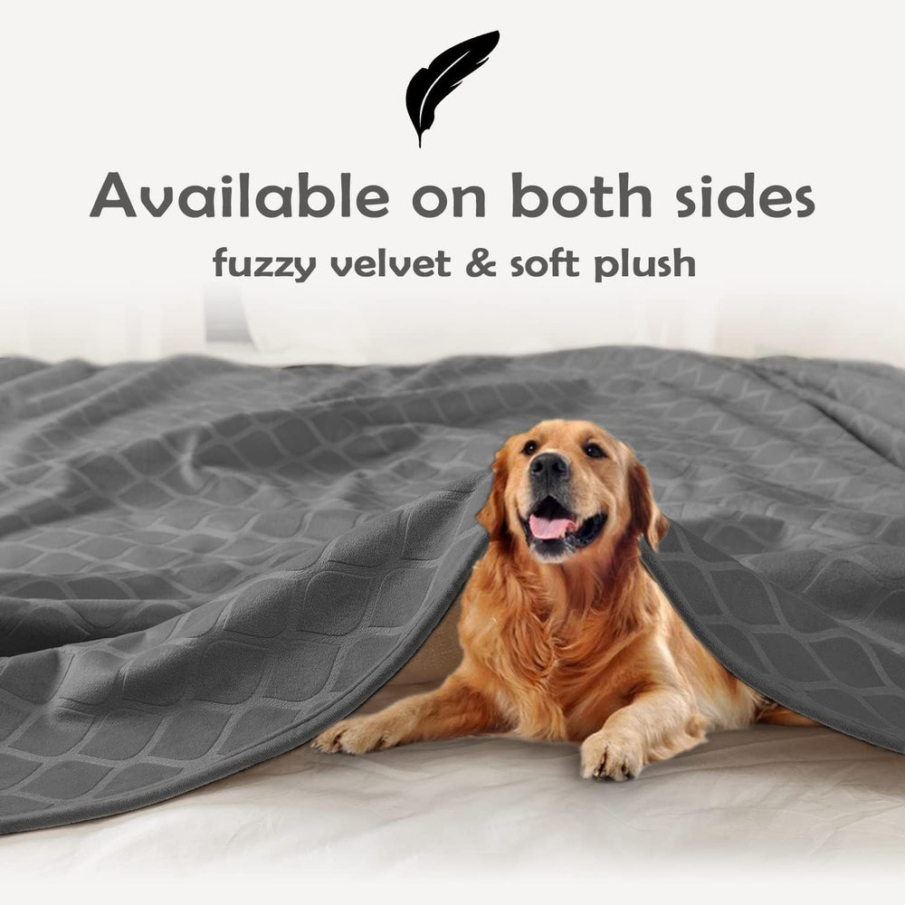 Fuguitex dog blanket multi-function use aids house training and crate protection.