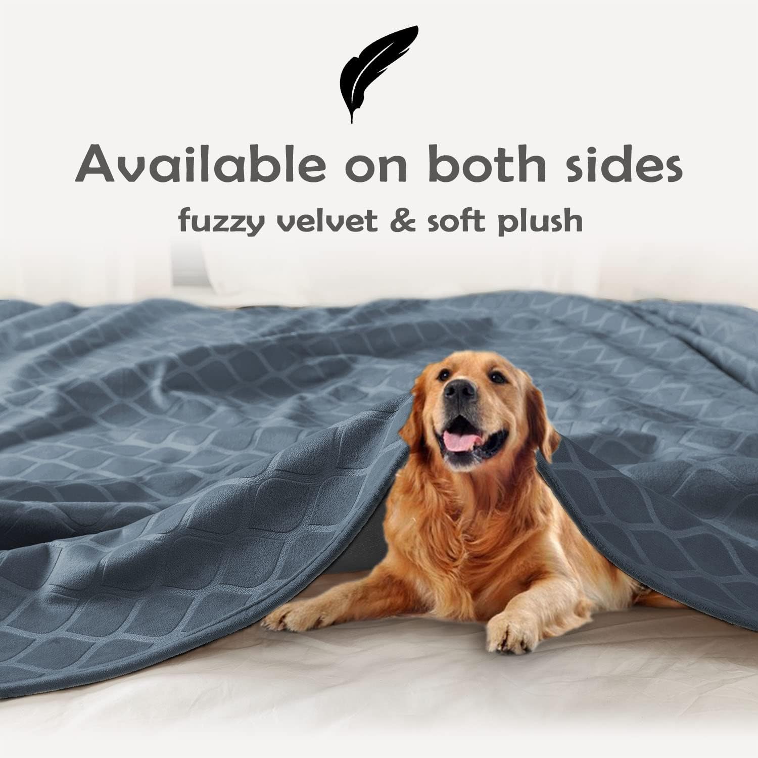 Fuguitex dog blanket protects furniture from fur and dirt during everyday use.