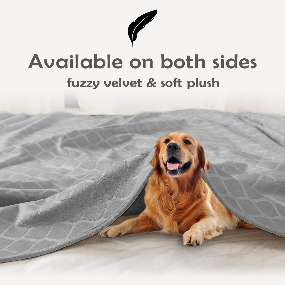 Fuguitex durable machine-washable blanket enables simple cleanup after adventures