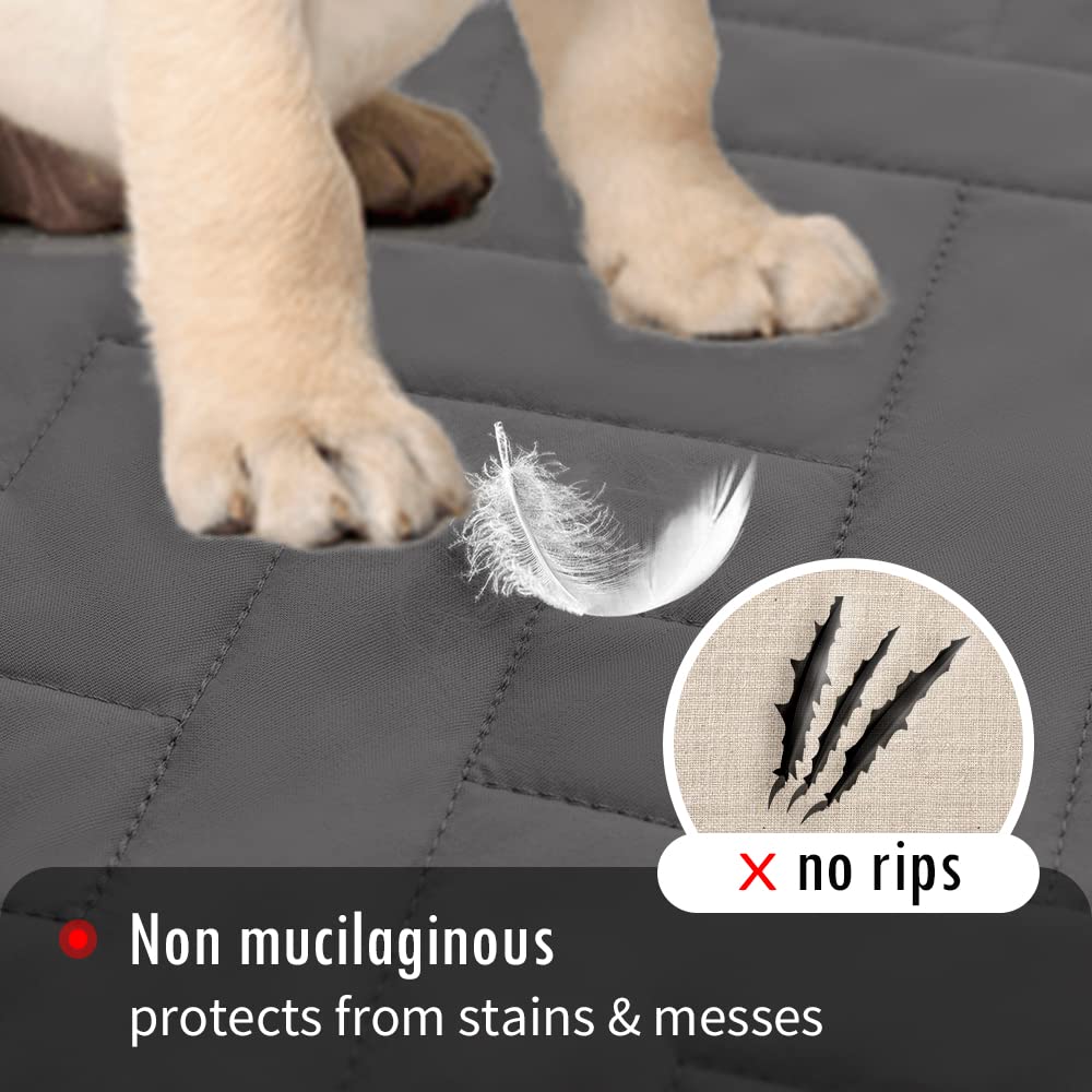 Fuguitex furniture protection example keeping sofa free from pet damage.