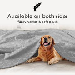 Fuguitex pet blanket draped over couch guarding fur and dirt.
