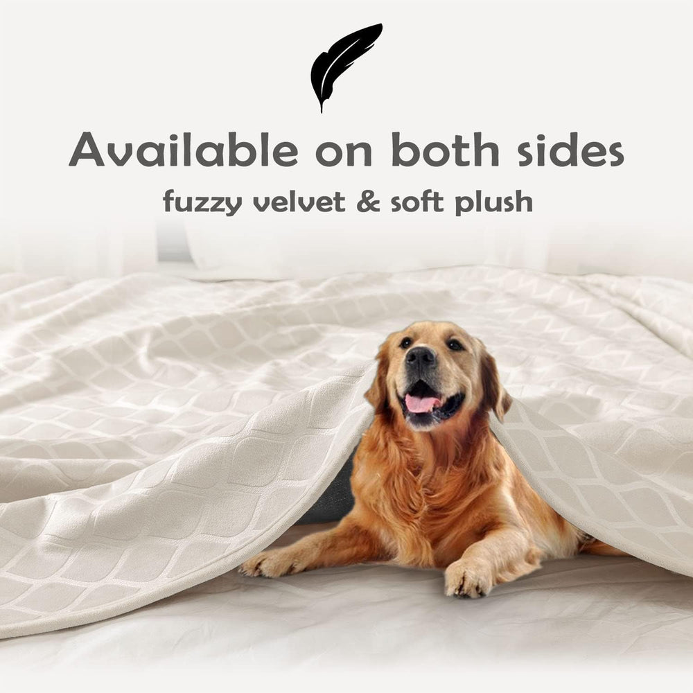 fuguitex reversible plush velvet side for warm cozy naps