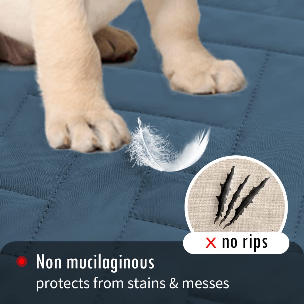 fuguitex sofa and bed protector guards against scratches and pet wear