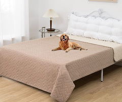 Fuguitex sofa protector pet cover keeps your sofa clean during playful sessions