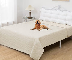 Fuguitex waterproof dog bed cover on chair keeps upholstery clean during cozy moments.