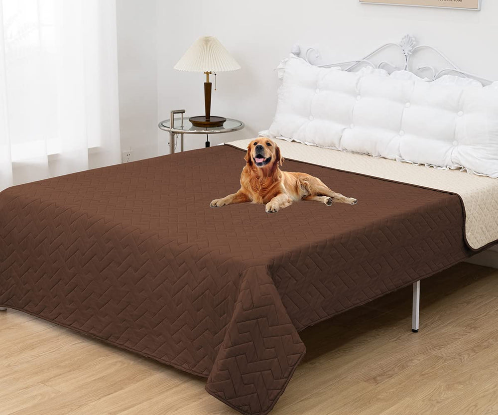 fuguitex waterproof dog bed cover on sofa shows durable furniture protection
