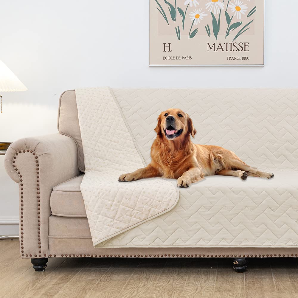 Fuguitex waterproof dog bed cover on sofa protects furniture from spills and pet mess.