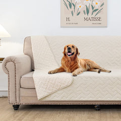 Fuguitex waterproof dog bed cover on sofa protects furniture from spills and pet mess.