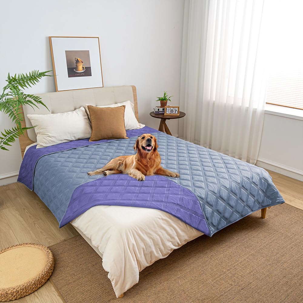 Fuguitex waterproof dog blanket 82x82 in violet blue and light blue protects furniture from spills and fur.