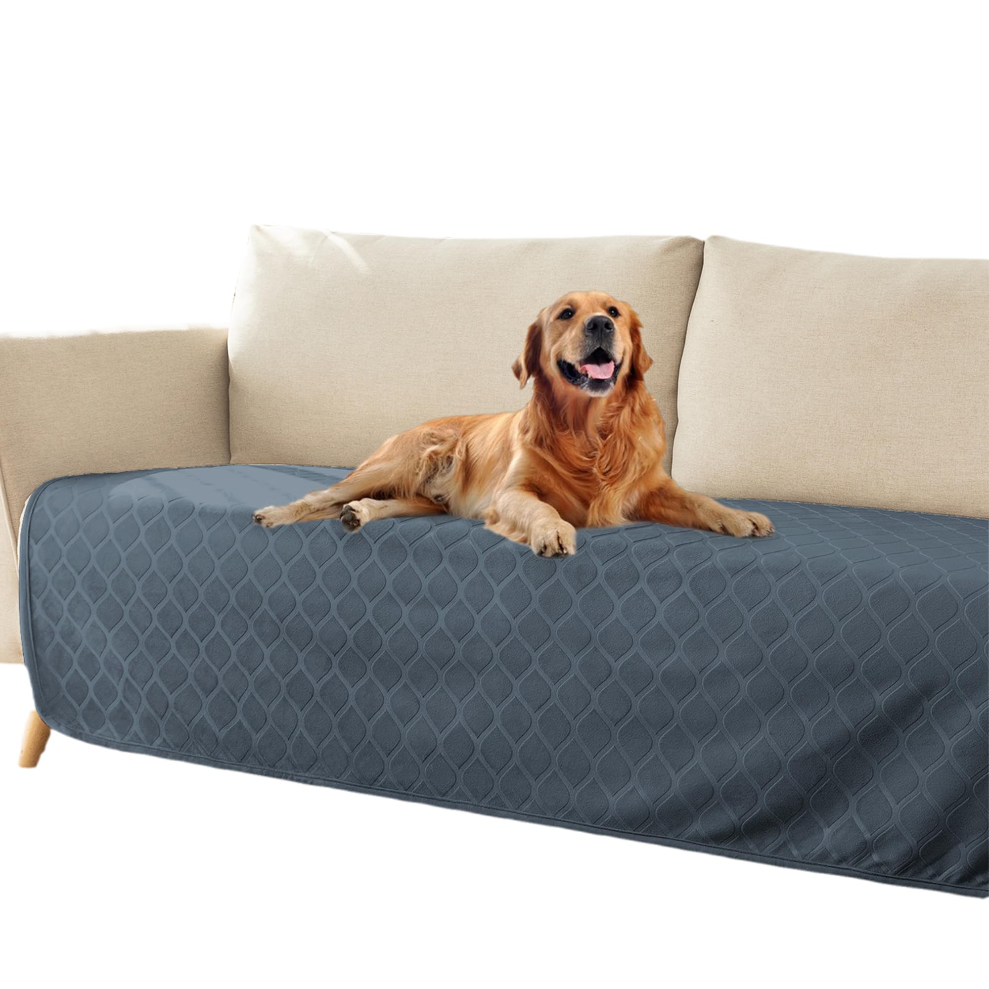 Fuguitex waterproof dog blanket cover 40x60 on sofa protects furniture from accidents.