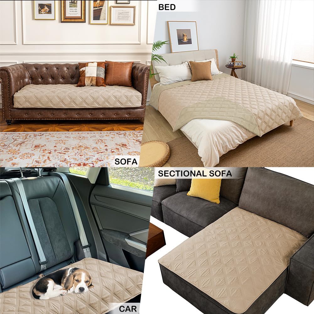 Fuguitex reversible dog blanket showcases dual colors for flexible room styling.