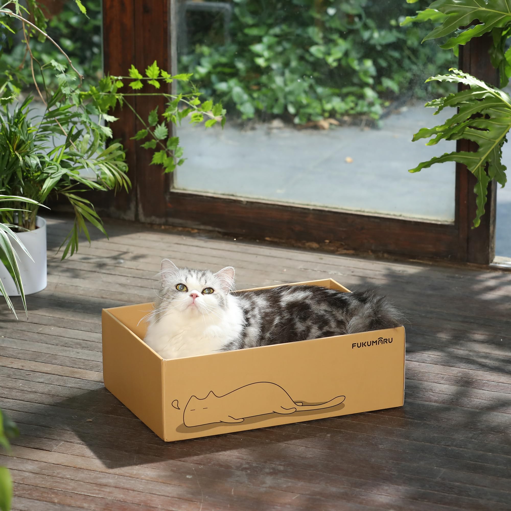 FUKUMARU assembled cat scratcher box ready for use
