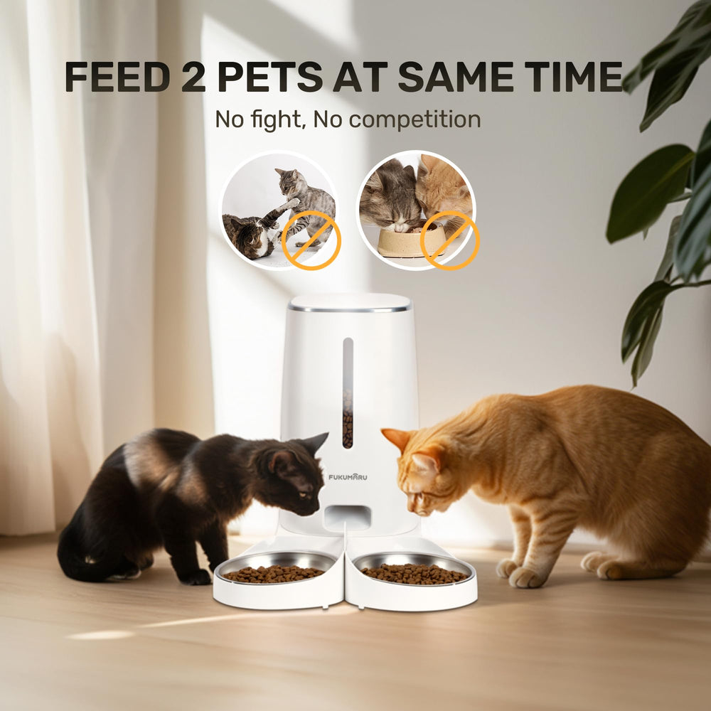 FUKUMARU 4L container holds ample dry food for days of use.