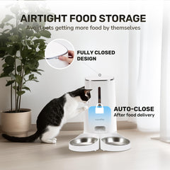 FUKUMARU dual bowls feeding two pets at once to prevent food fights.