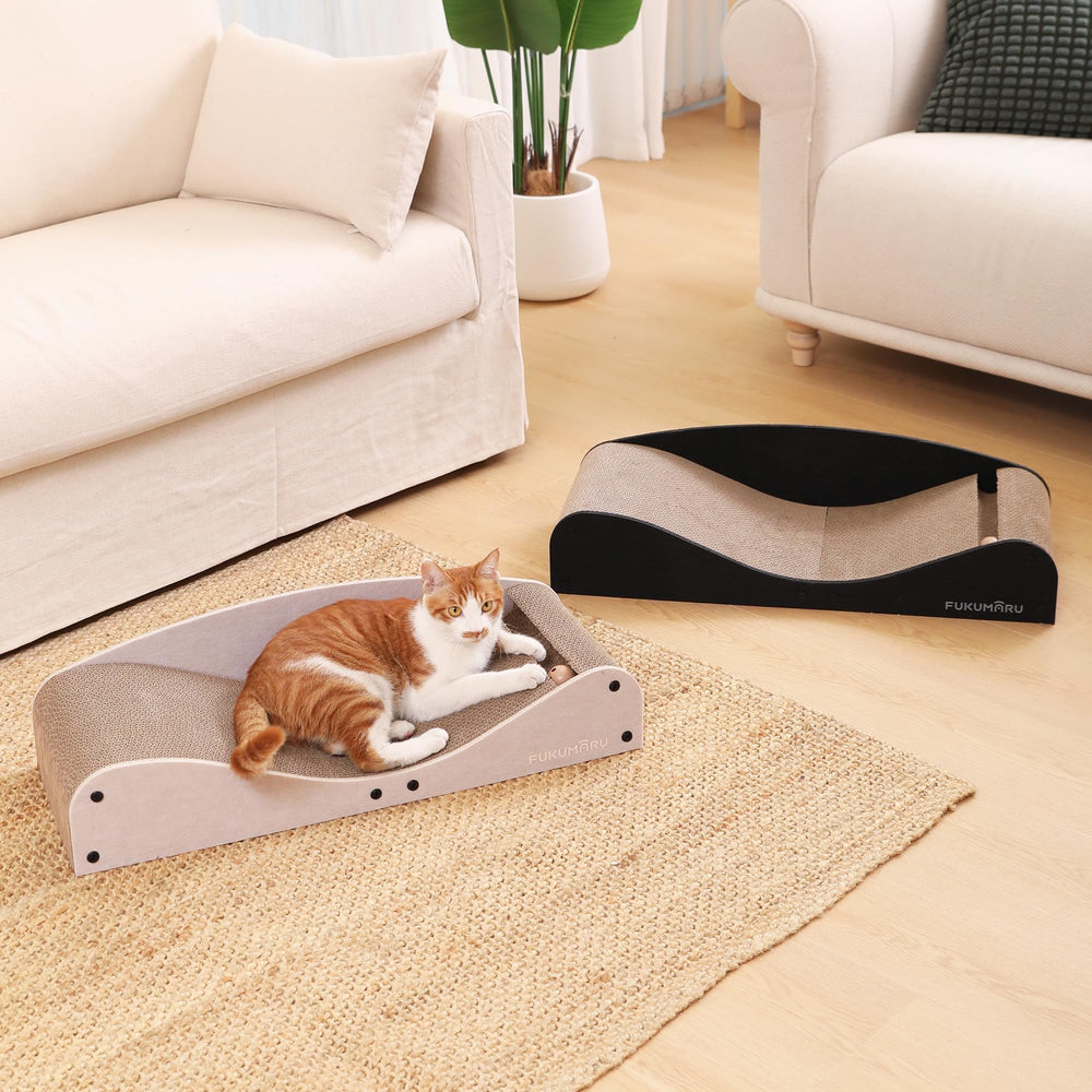 FUKUMARU black color cat scratcher bed complements modern home interiors